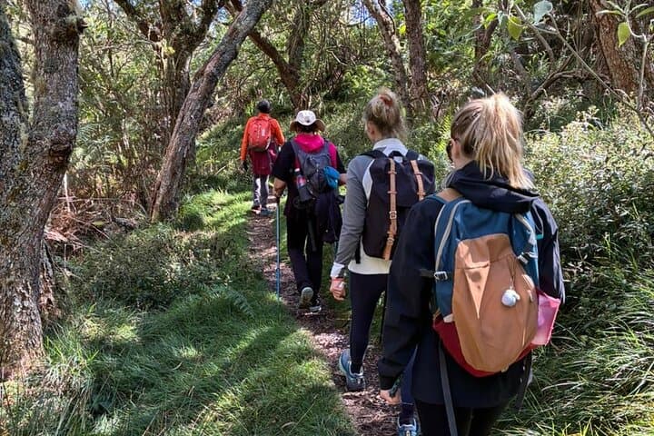 Hiking in Reunion: Volcano Plateaus, Gorges & Remote Caldera Trails photo 6