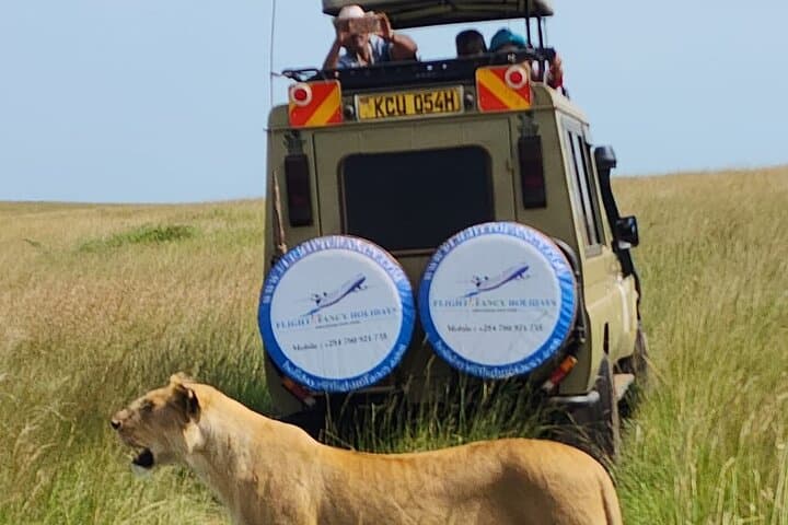 3-Day Masai Mara Big Five Private Safari — Wildlife, Views & Practical Tips
