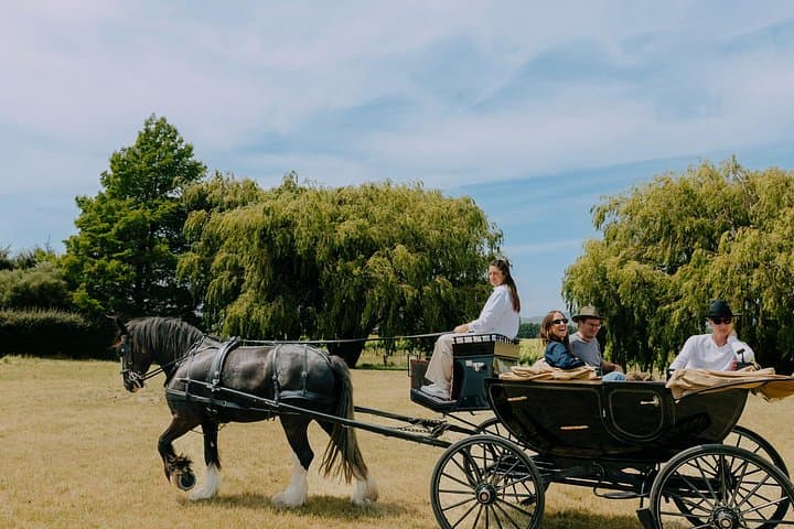 Slow Ride Through Sauvignon: Horse and Carriage Wine Tour in Marlborough photo 2