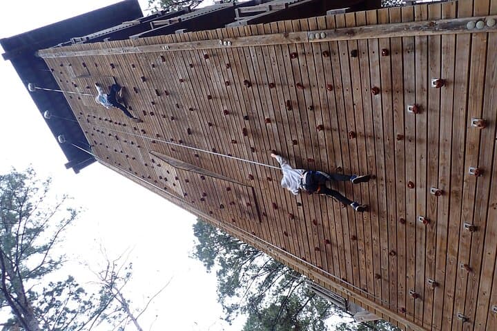 Charleston Zipline Canopy Tour: 7‑Line Forest Canopy with 65‑ft Climbing Wall photo 3