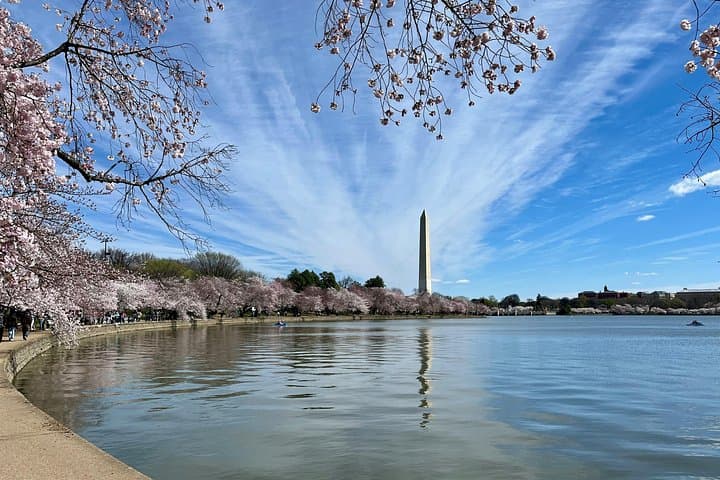 Full-Day Washington DC Tour with Mount Vernon Visit — National Mall, Memorials & Mount Vernon photo 6