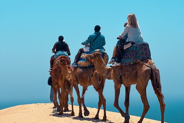 Peaceful Camel Ride Through the Timlalin Dunes Near Agadir photo 2