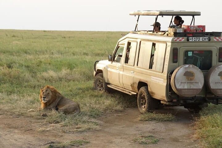 Big Five Safari in Ngorongoro Crater: Full-Day Tour from Arusha photo 2