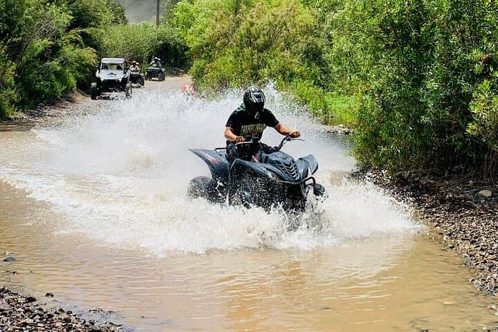 ATV to Baja Hot Springs: Off‑Road Ride & Tacos Near Ensenada photo 2