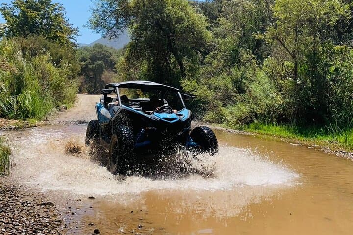 ATV to Baja Hot Springs: Off‑Road Ride & Tacos Near Ensenada photo 3