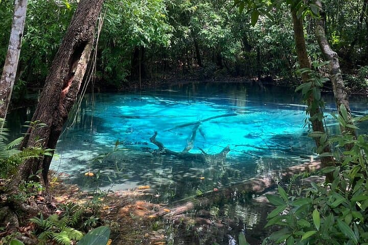 Krabi Jungle Full-Day: Emerald Pool, Hot Springs & Tiger Cave Temple photo 6