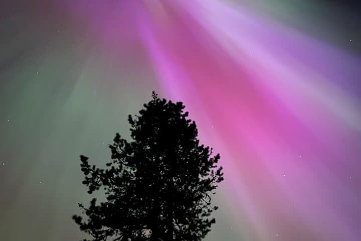 Chasing Northern Lights and Stargazing in Banff: Night Sky Tour in the Canadian Rockies photo 3