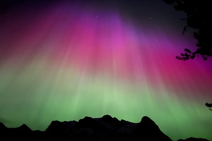 Chasing Northern Lights and Stargazing in Banff: Night Sky Tour in the Canadian Rockies