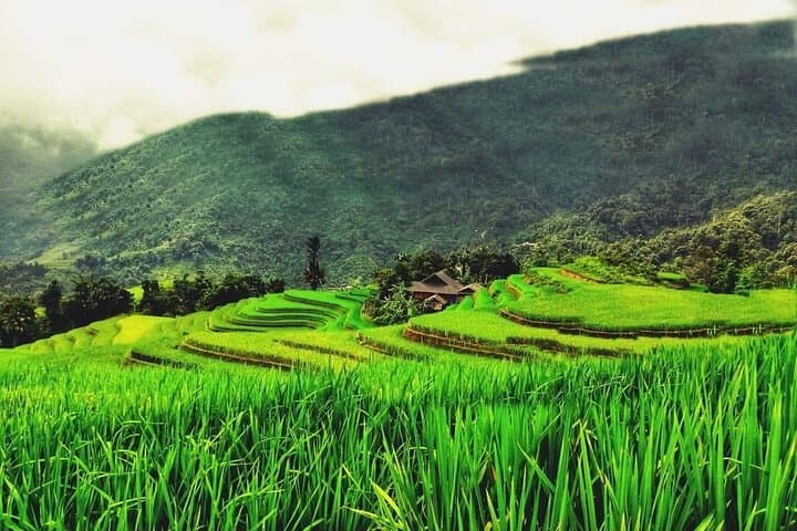 Sapa Trek: Lao Chai Trails and Fansipan Peak in 3 Days photo 2