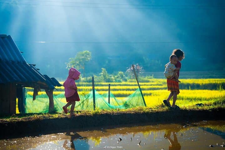 Sapa Highlights Getaway: 2-Day Luxury Trek to Cat Cat, Y Linh Ho & Ta Van