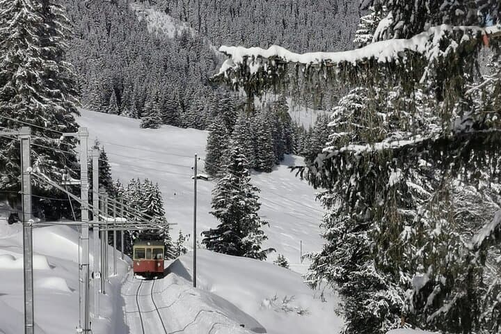 Grutschalp to Murren: Lauterbrunnen Valley Winter Walk with Scenic Gondolas photo 2