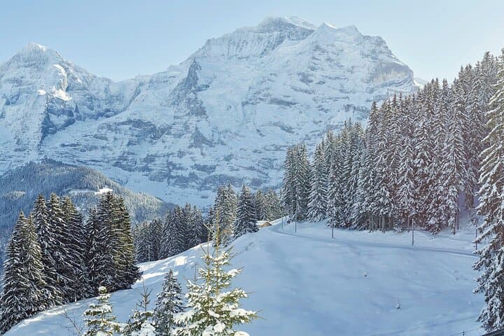 Grutschalp to Murren: Lauterbrunnen Valley Winter Walk with Scenic Gondolas photo 3
