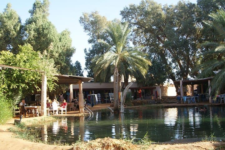 Ksar Ghilane Desert Escape: 2-Day Berber Oasis & Star Wars Sites from Djerba photo 5