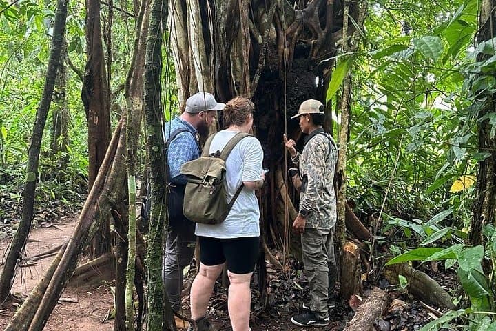 Rain Forest Sloth Observation and Coffee Tour in La Fortuna, Costa Rica photo 1