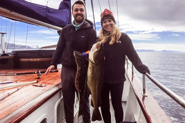 Tromsø Sea-to-Table Fishing: Small-Group Arctic Yacht Experience