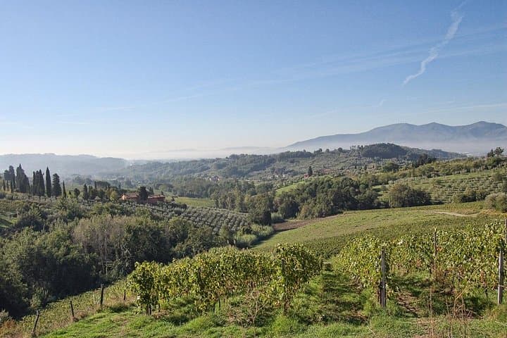 Lucca to Montecarlo Self-Guided Bike Tour: Ride Tuscany’s Wine Roads photo 1