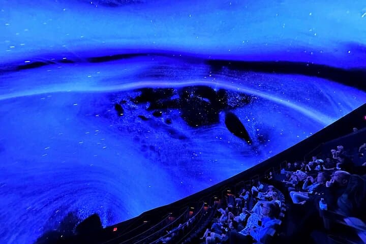 Sounds of the Ocean: Immersive Ocean Experience at MOSI Tampa photo 3