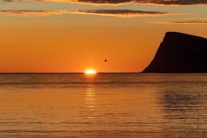 Midnight Sun Cruise in Tromsø: Hot Tub, Polar Plunge & Wildlife photo 2