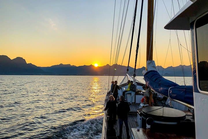 Midnight Sun Cruise in Tromsø: Hot Tub, Polar Plunge & Wildlife photo 1