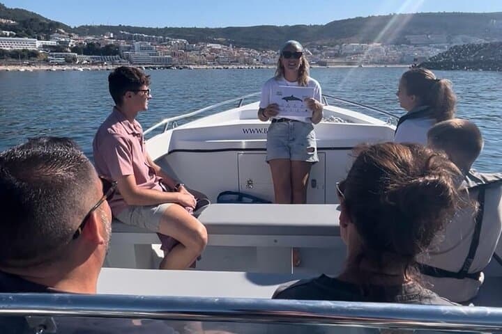 Science-to-Sea Eco Tour: Dolphin Watching & Marine Biology in Sesimbra photo 3