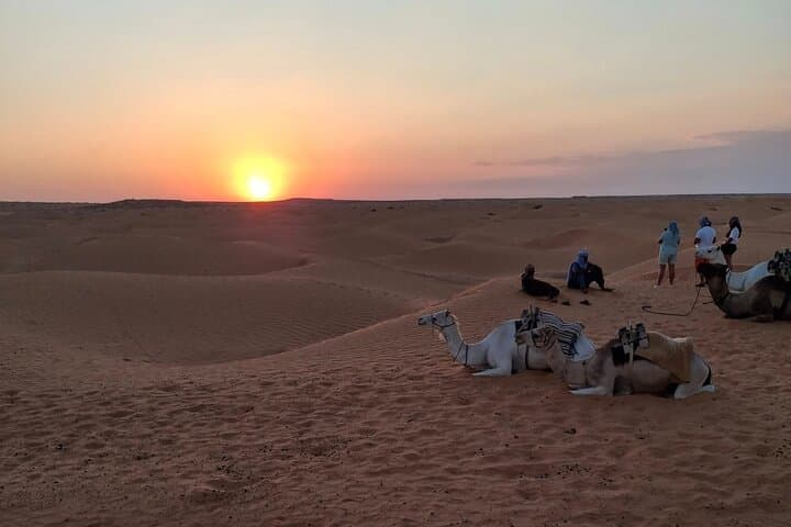 Ksar Ghilane Desert Escape: 2-Day Berber Oasis & Star Wars Sites from Djerba