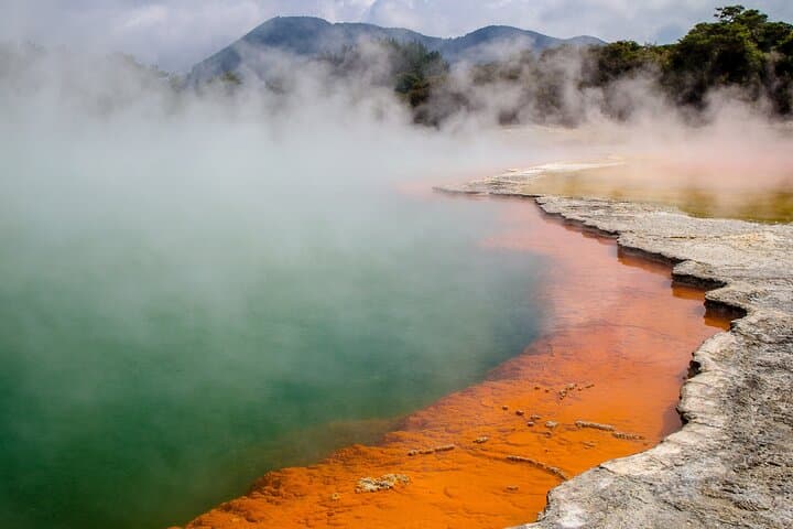 Wai-O-Tapu Thermal Wonderland & Redwoods Treetop Walk — Rotorua Day Tour
