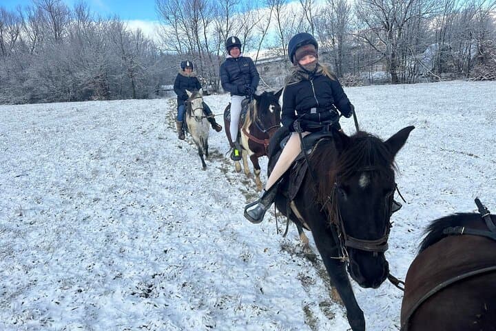 Horseback Riding in Zasele: Ranch Aurora Trails to Bula Peak photo 6