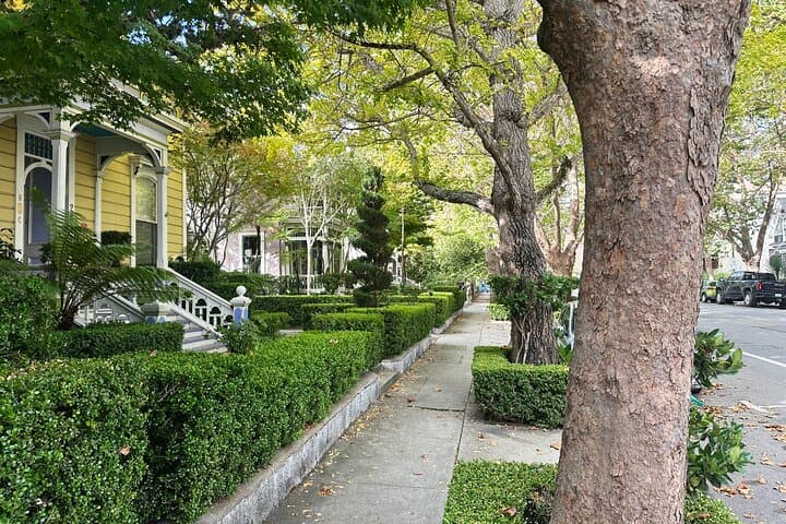Santa Cruz Beach-to-Mission Hill Loop: A Guided Walk Through Boardwalk, Downtown & History photo 6