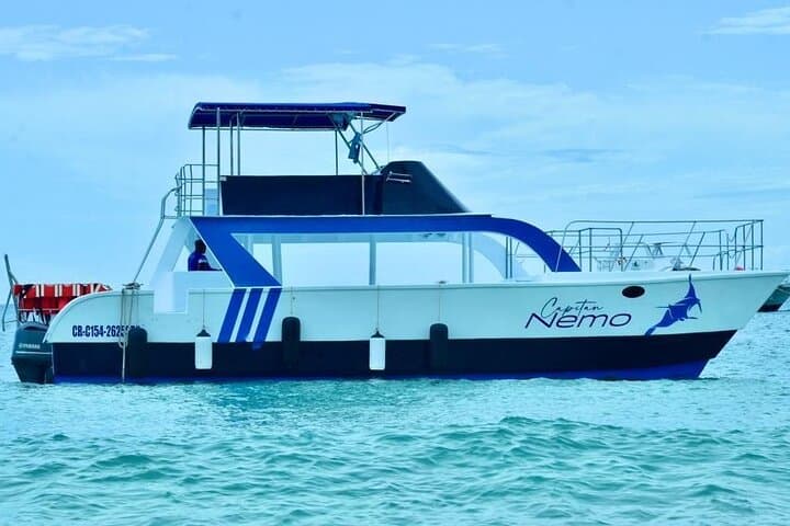 Full-Day Catalina Island Snorkel & Beach Excursion from Punta Cana photo 5