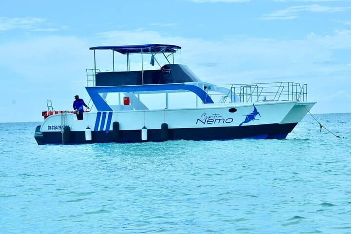 Full-Day Catalina Island Snorkel & Beach Excursion from Punta Cana photo 3