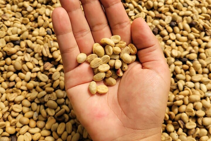 Day Hike in Minca: Coffee Farm, Waterfall Swim & Chocolate Workshop photo 4