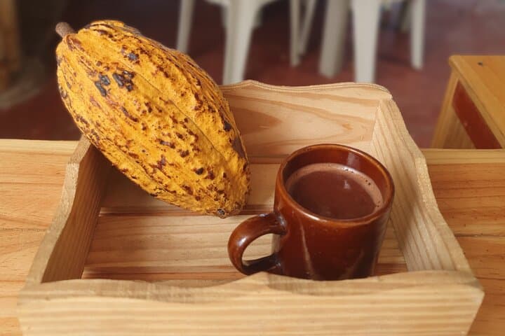 Day Hike in Minca: Coffee Farm, Waterfall Swim & Chocolate Workshop photo 5