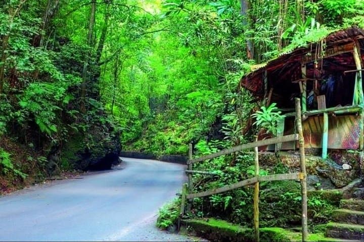 Ocho Rios Shopping & Sightseeing: Fern Gully, Local Crafts, and Panoramic Town Views photo 1