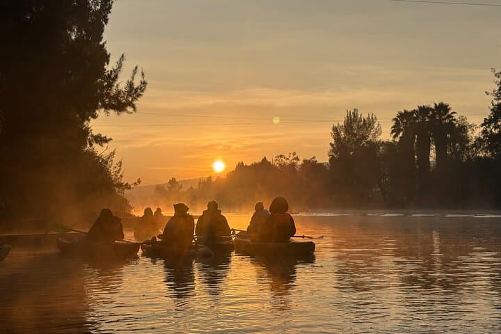 Kayaking the Xochimilco Canals at Sunrise: Agroecological Tour & Axolotl Encounter