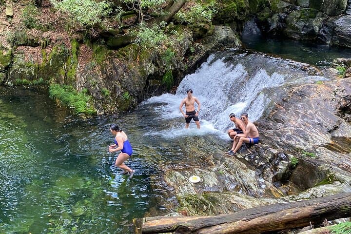 Serra d'Arga Waterfalls & 7 Lagoons: Picnic and Vinho Verde Tour photo 2