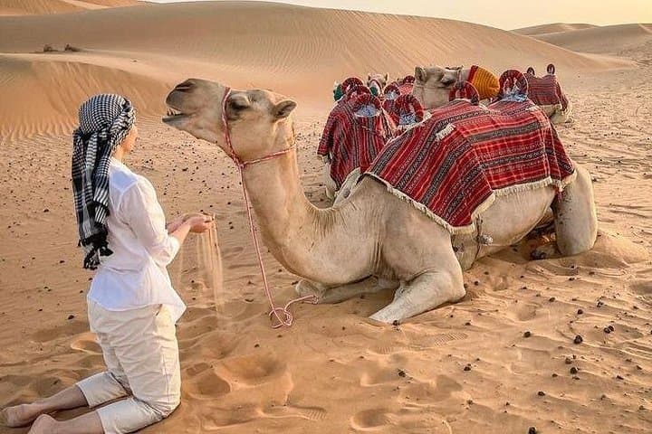 Sunset Red Dunes: Dubai Evening Desert Safari with Quad Bikes and Premium Camp photo 4
