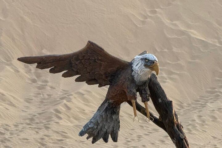Abu Dhabi Desert Safari: Dune Bashing, Camel Ride & Desert Camp BBQ photo 2