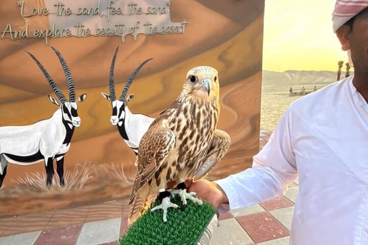 Abu Dhabi Desert Safari: Dune Bashing, Camel Ride & Desert Camp BBQ photo 3
