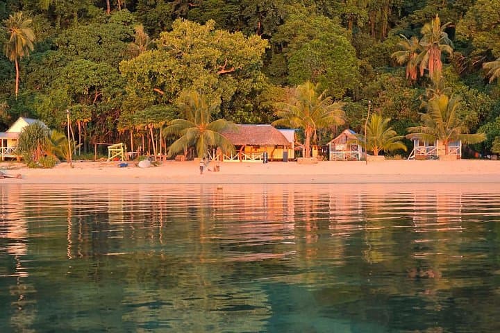 Discover Pele Island: Village Life, Snorkeling & Fish Feeding from Port Vila