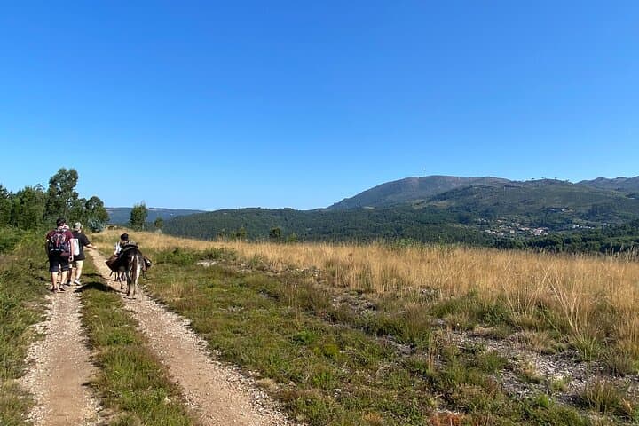 Donkey Walk to Serra d'Arga Waterfalls — 6‑Hour Self‑Guided Adventure from Viana do Castelo photo 2