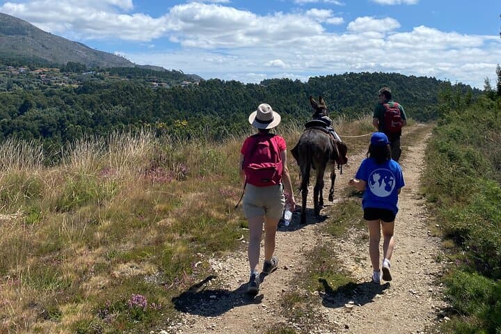 Donkey Walk to Serra d'Arga Waterfalls — 6‑Hour Self‑Guided Adventure from Viana do Castelo photo 6