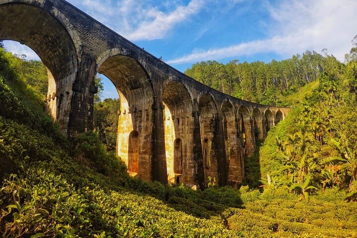 Ella Day Trip from Mirissa: Nine Arch Bridge, Diyaluma Falls & Lipton's Seat