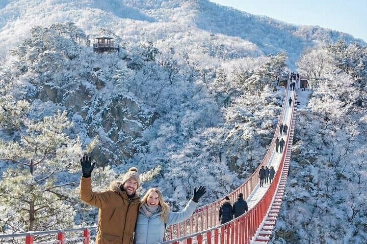 Signature DMZ Tour from Seoul: Defector Talk, 3rd Tunnel & Suspension Bridge photo 2