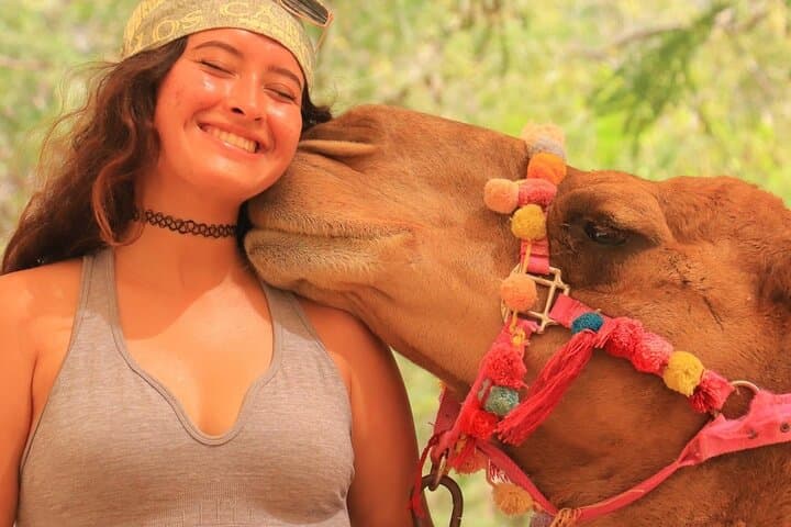 Canyon Salama Jeep Safari, Lunch & Snorkeling from Sharm El-Sheikh photo 2