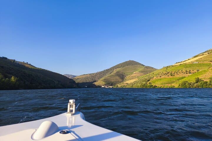 50-Minute Douro River Cruise from Pinhão: Wine, Vines & Riverside Views photo 4