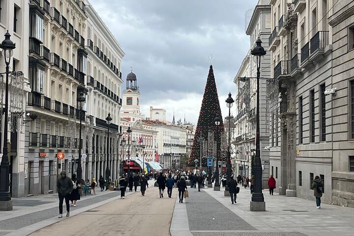 Explore Madrid by E‑Bike: 2.5‑Hour Electric Bike City Tour photo 5