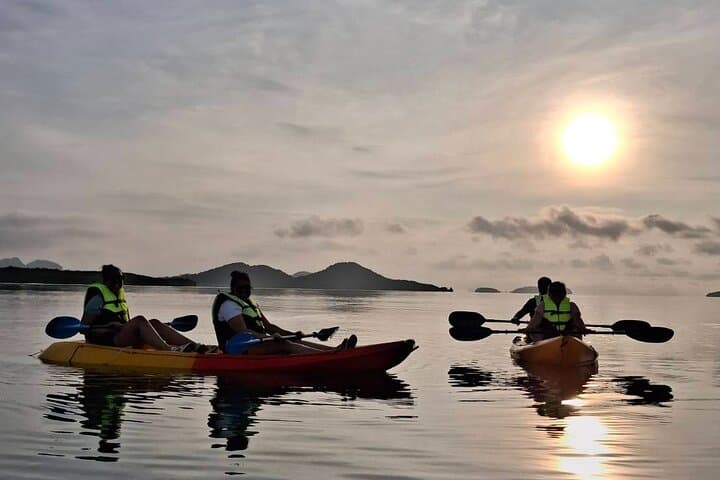 Sunrise Mangrove Boat & Kayak Tour in Ko Lanta: Morning Wildlife and Calm Waterways