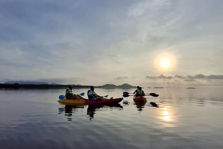 Sunrise Mangrove Boat & Kayak Tour in Ko Lanta: Morning Wildlife and Calm Waterways photo 4