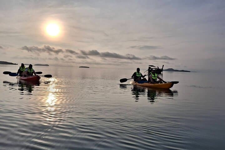 Sunrise Mangrove Boat & Kayak Tour in Ko Lanta: Morning Wildlife and Calm Waterways photo 5