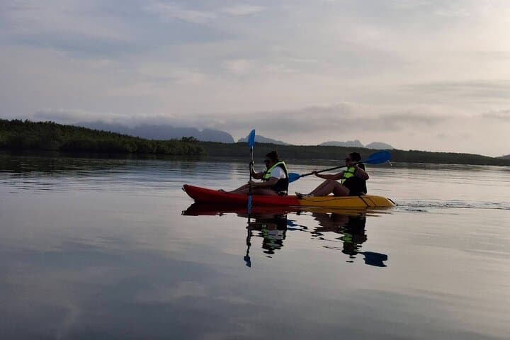 Sunrise Mangrove Boat & Kayak Tour in Ko Lanta: Morning Wildlife and Calm Waterways photo 6